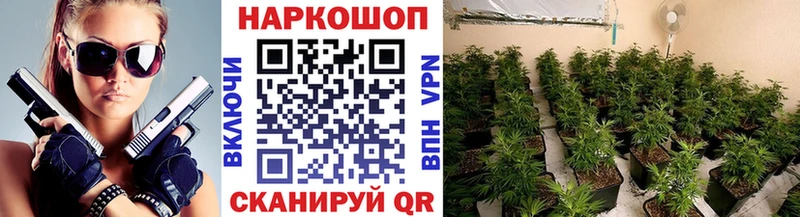 Где купить наркотики Мураши Гашиш  Конопля  A PVP  Меф 