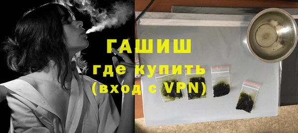 индика Аркадак