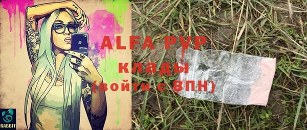 индика Аркадак