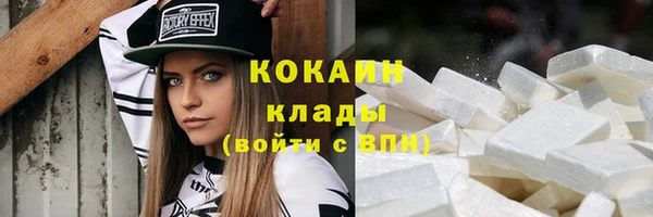 индика Аркадак