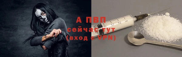 индика Аркадак