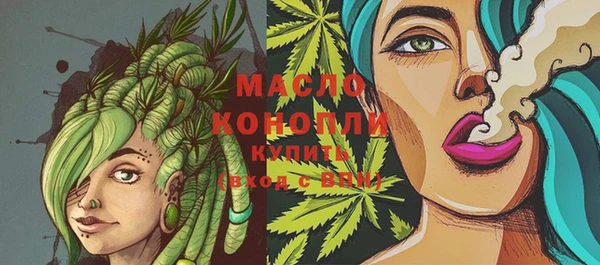 индика Аркадак