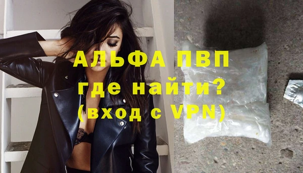 индика Аркадак