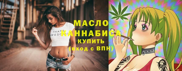 индика Аркадак