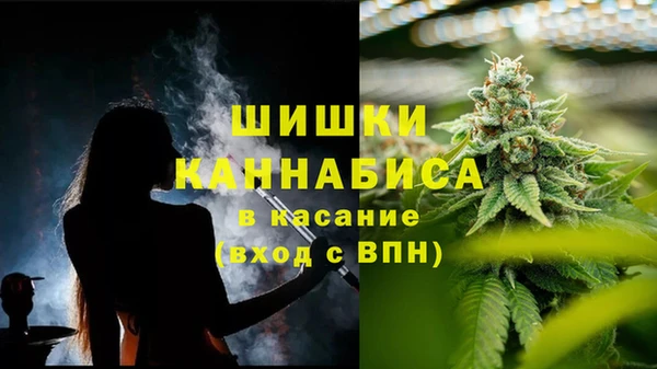 индика Аркадак