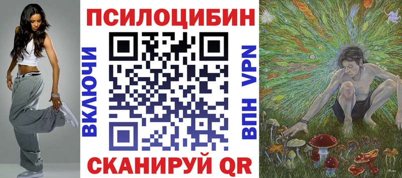 Галлюциногенные грибы Psilocybe  где продают наркотики  Мураши 